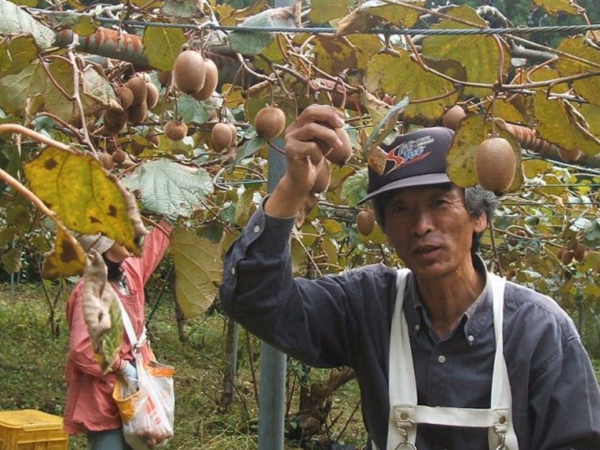 DSCF4839ｓ.JPG