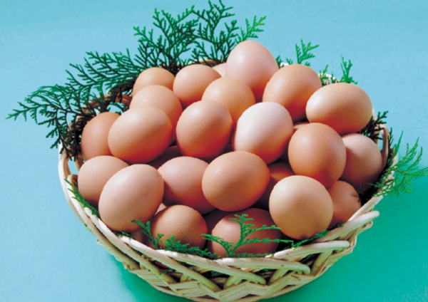 tamago.jpg